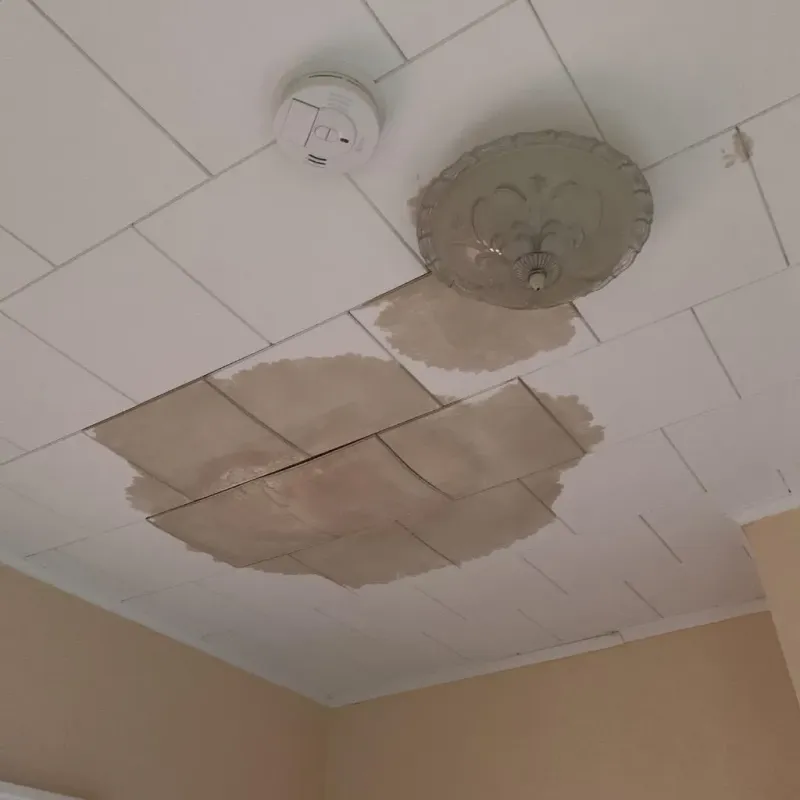 Ceiling Water Damage Repair in Fort Belknap Agency, MT