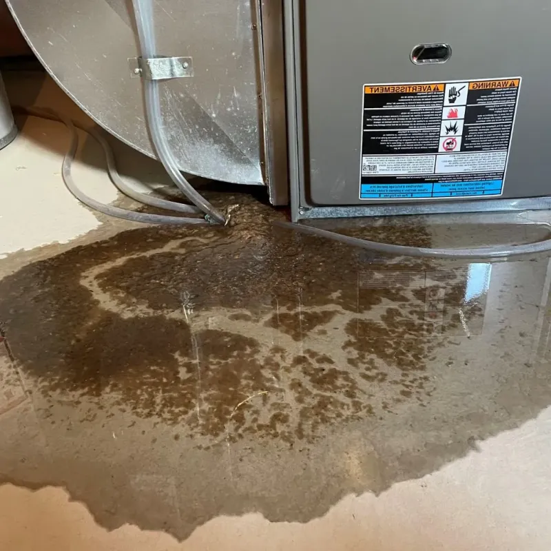 Pipe Burst and Leak Restoration in Fort Belknap Agency, MT